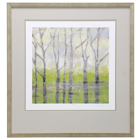 Birch Trees in Spring